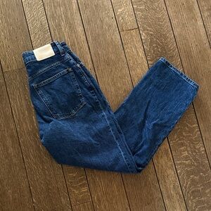 Everlane Curvy Way High Jeans